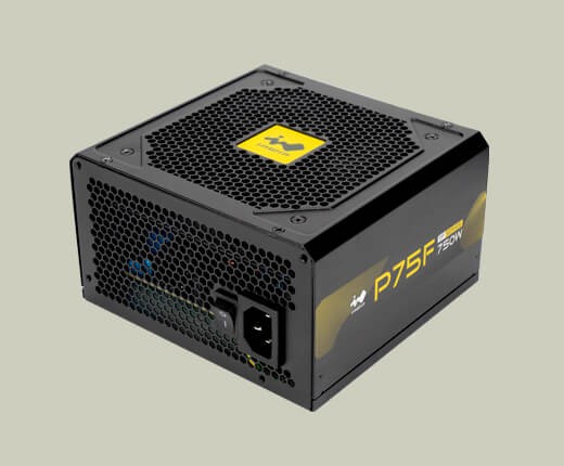 P75F-750W 750W 80+ Gold ATX Non-Modular Power Supply
