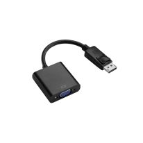 022.002.0320 15cm DisplayPort to SVGA Adaptor