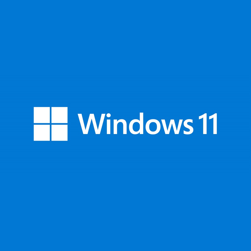 [FQC-10528] Windows 11 Pro 64Bit Eng OEM FQC-10528