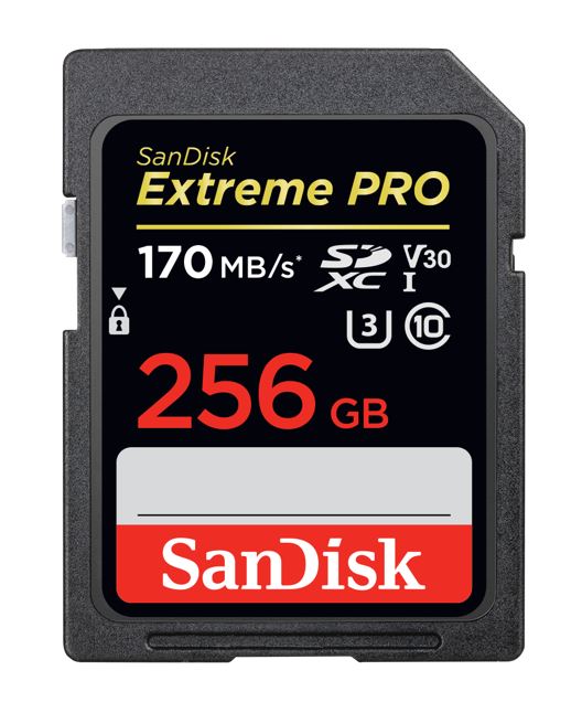 [619659170356] 619659170356 SanDisk 256GB Extreme PRO Memory Card 170MB/s Full HD  4K UHD Class 30 Speed Shock Proof Temperature Proof Water Proof (LS> SDSDXXD-256G-GN4IN) (LS)