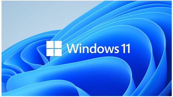 [889842906288] 889842906288 Microsoft Windows 11 Professional for Workstation 64 BIT - By Order