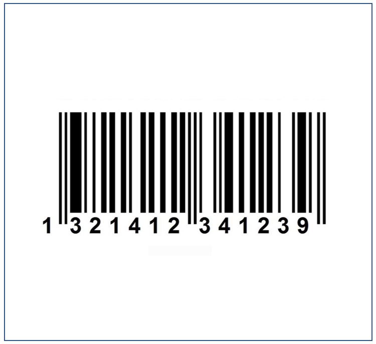 SERIAL System Serial Number