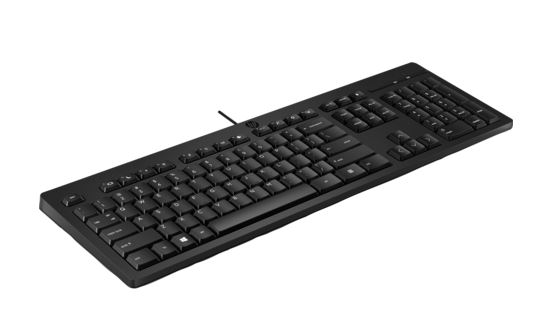 NAHP-266C9AA HP 125 Wired Keyboard - Compatible with Windows 10, Desktop PC, Laptop, Notebook USB Plug and Play Connectivity, Easy Cleaning 1YR WTY