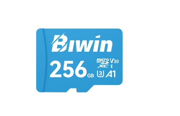 [BIW-MS100-256G] BIW-MS100-256G BIWIN MS100-256G microSD3.0 Read & Write Speed up to 100MB/s & 50MB/s BMMS100256G-RGX