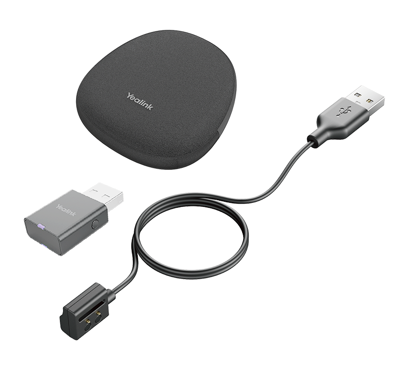 Yealink Portable Accessory Kit for WH62/66, Carry Case, Charging Cable, WDD60 DECT Dongle, Make DECT Headset Your Hybrid Work Booster