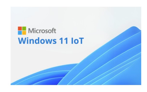 Microsoft Windows 11 IOT Multi Language