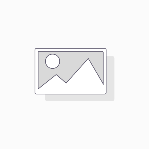[RD-S02C1] DIE CUT LABEL (102MM X 152MM) 270 LABELS 3PK